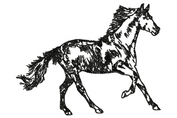 Horse Line: A Designer’s Review for Holiday Collections