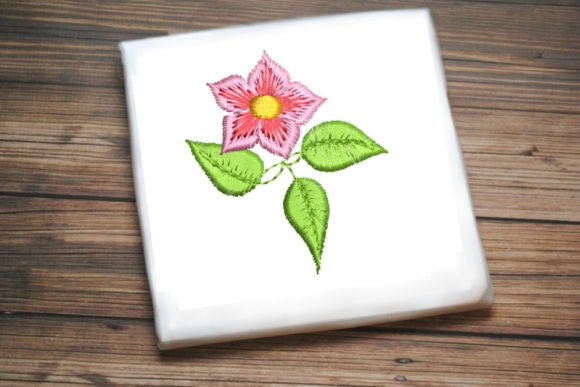 Small Pink Rose: A Designer’s Review for Real Projects